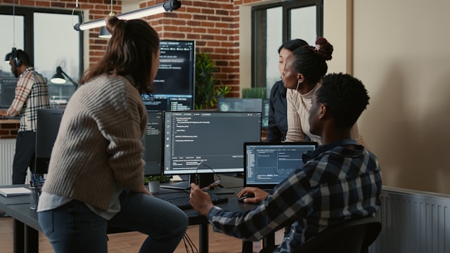 Software development team